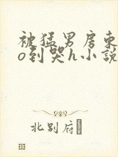 被猛男房东cao到哭h小说