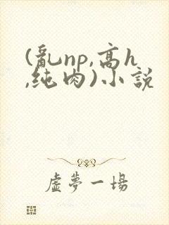 (乱np,高h,纯肉)小说封面