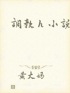调教 h 小说