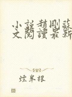 小说赵刚苏柔全文阅读最新章节