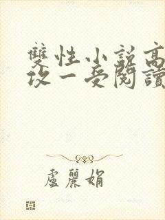 双性小说高h多攻一受阅读封面