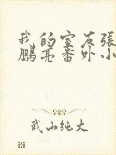我的室友张健石鹏亮番外小说