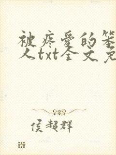 被疼爱的笨蛋美人txt全文免费阅读封面