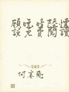 顾晚晴陆怀铮小说免费阅读最新章节