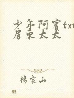 少年阿宾txt房东太太