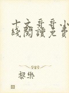 十文哥哥小说在线阅读免费