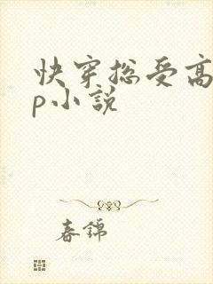 快穿总受高hnp小说