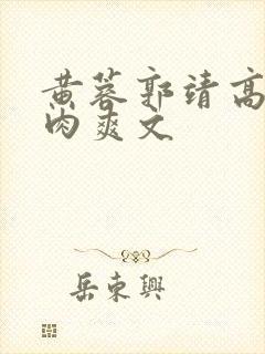 黄蓉郭靖高h纯肉爽文