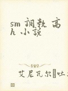 sm 调教 高h 小说