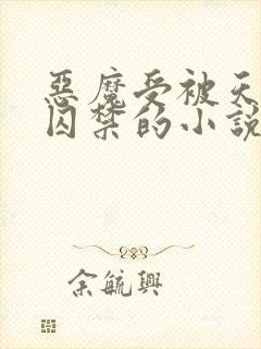 恶魔受被天使攻囚禁的小说