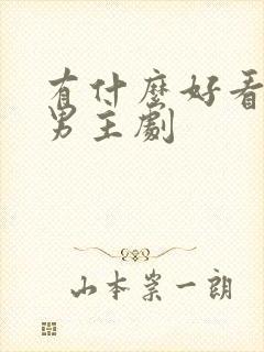 有什么好看的双男主剧