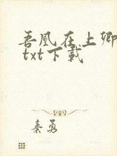 吾凰在上卿在下 txt下载