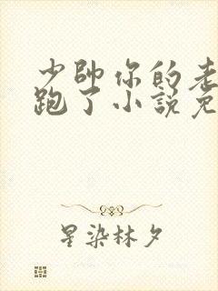 少帅你的老婆又跑了小说免费阅读