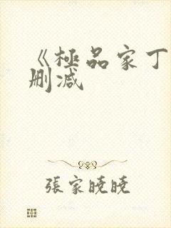 《极品家丁》无删减