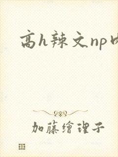 高h辣文np肉