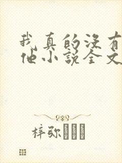 我真的没有引诱他小说全文免费阅读笔趣阁