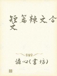 短篇辣文合集h文