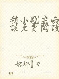 赵小刚宋雨晴小说免费阅读封面