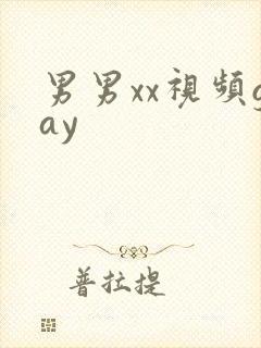 男男xx视频gay