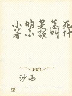小明是怎死的原著小说叫什么名字