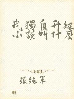 我独自升级原著小说叫什么