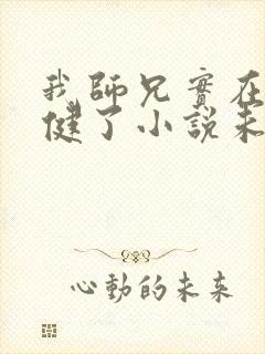 我师兄实在太稳健了小说未删版txt