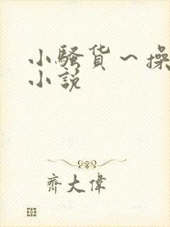 小骚货～操死你小说