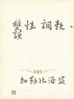 双性 调教 小说封面