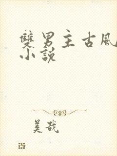 双男主古风玄幻小说