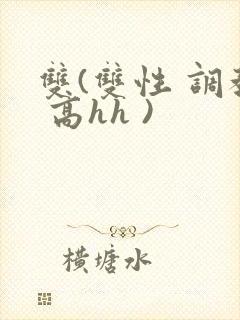 双(双性 调教 高hh )