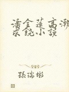 潘金莲高潮呻吟求饶小说封面