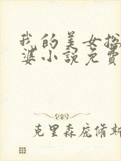 我的美女总裁老婆小说免费阅读