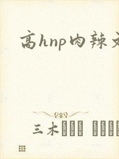高hnp肉辣文