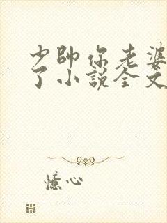 少帅你老婆又跑了小说全文免费阅读