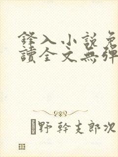 锋入小说免费阅读全文无弹窗