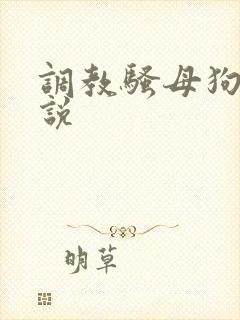 调教骚母狗的小说封面