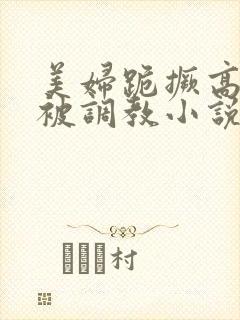 美妇跪撅高屁股被调教小说封面