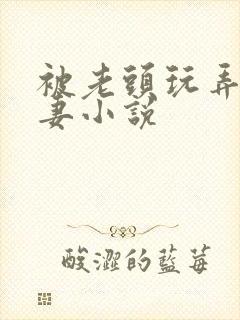 被老头玩弄的娇妻小说