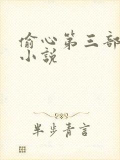 偷心第三部原著小说封面