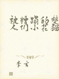 被糟蹋的双性美人们小花猫