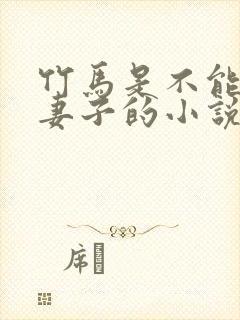 竹马是不能成为妻子的小说免费阅读