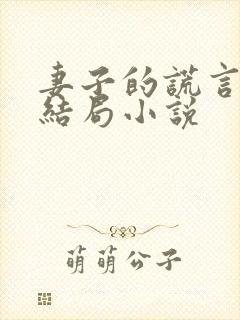 妻子的谎言程心结局小说封面