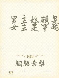 男主姓顾是丞相女主是穿越封面