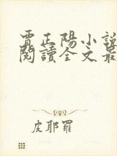 贾正阳小说免费阅读全文最新章节