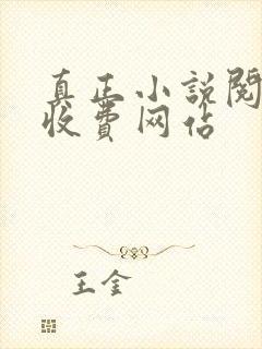 真正小说阅读不收费网站
