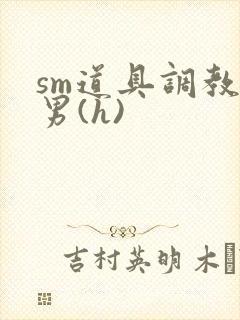 sm道具调教男男(h)
