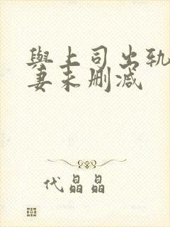 与上司出轨的人妻未删减封面