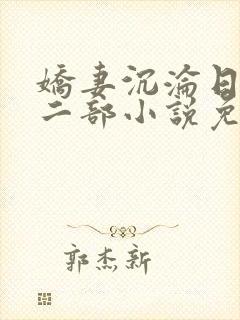 娇妻沉沦日记第二部小说免费阅读