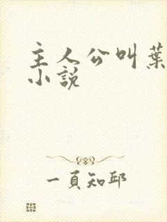 主人公叫叶宇的小说封面