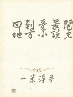 回到爱最开始的地方小说免费阅读封面